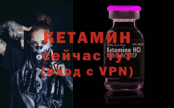 стаф Белокуриха
