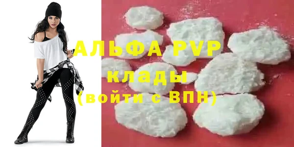 стаф Белокуриха