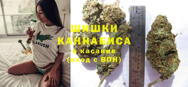 стаф Белокуриха