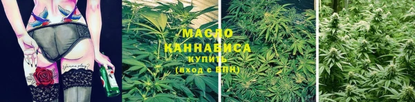 стаф Белокуриха